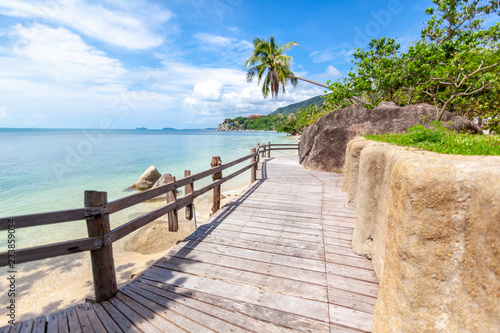 Obraz na płótnie Bright beautiful tropical landscape, wooden walkway along the seashore