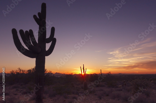 Arizona desert sunset landscape 