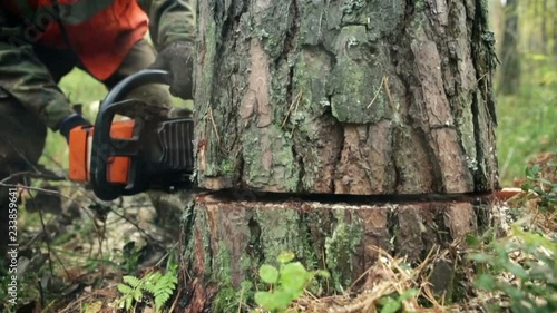 Man sawing wood chainsaw