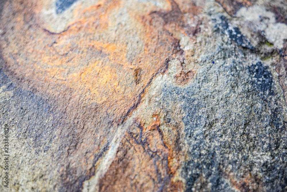 The surface of rock The surface of rock