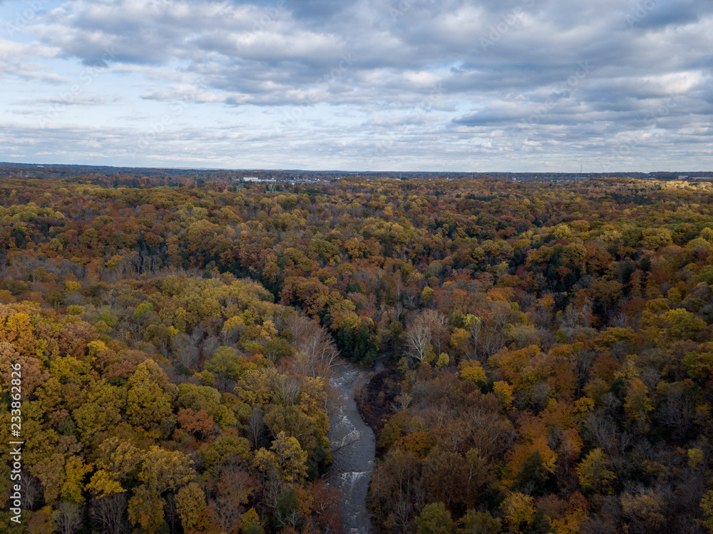 Fall Forest in Midwest Aerial Photography Fall Forest in Midwest Aerial Photography