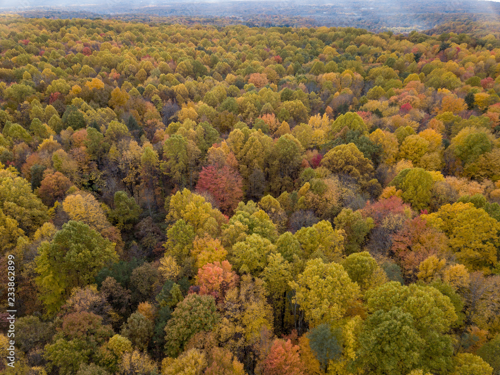Midwestern Landscape in Fall from Aerial View Midwestern Landscape in Fall from Aerial View