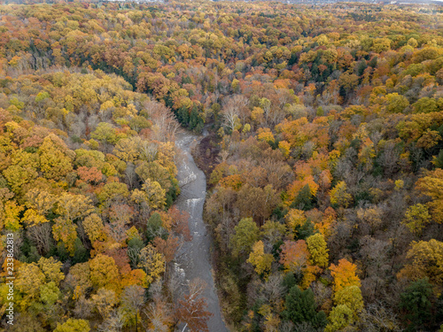 Fall Forest in Midwest Aerial Photography 
