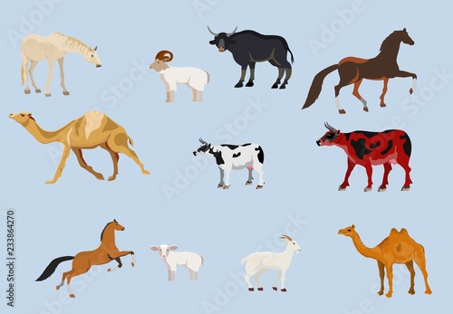 farm animals vector set