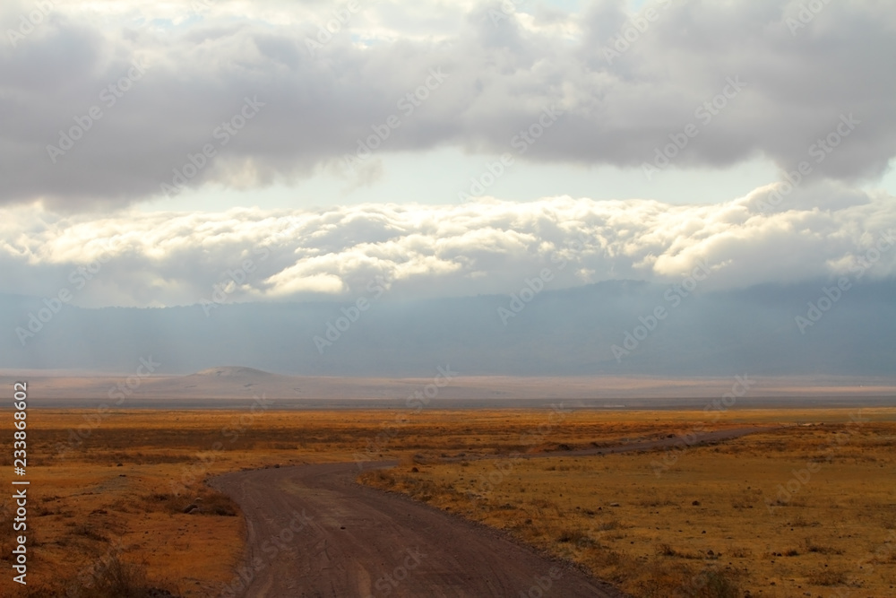 Road through the Ngorongoro Caldera