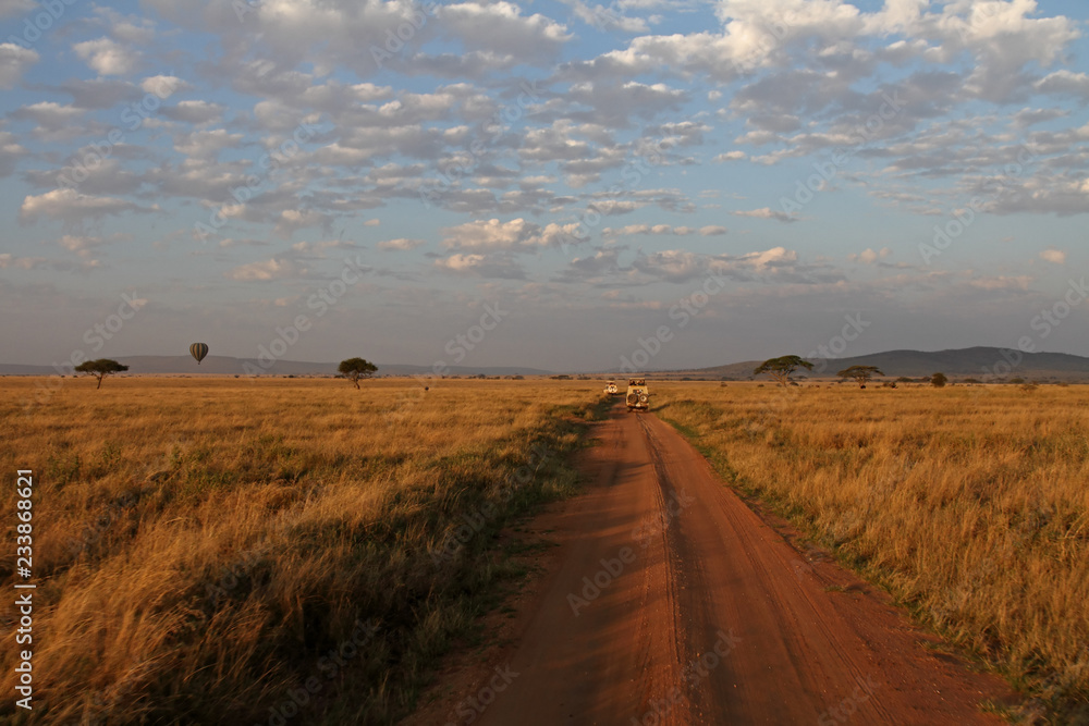 Serengeti Road and Transport