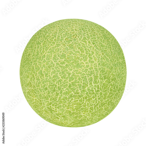 melon fruit on white background