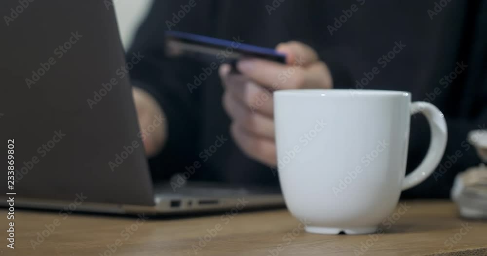 Woman makes online shopping and payment by using laptop. Close-up dolly shot Woman makes online shopping and payment by using laptop. Close-up dolly shot