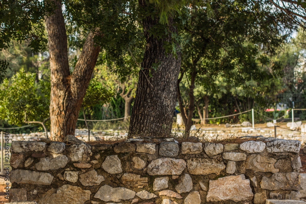 park outdoor nature environment with stone wall bench under trees landscape design park outdoor nature environment with stone wall bench under trees landscape design