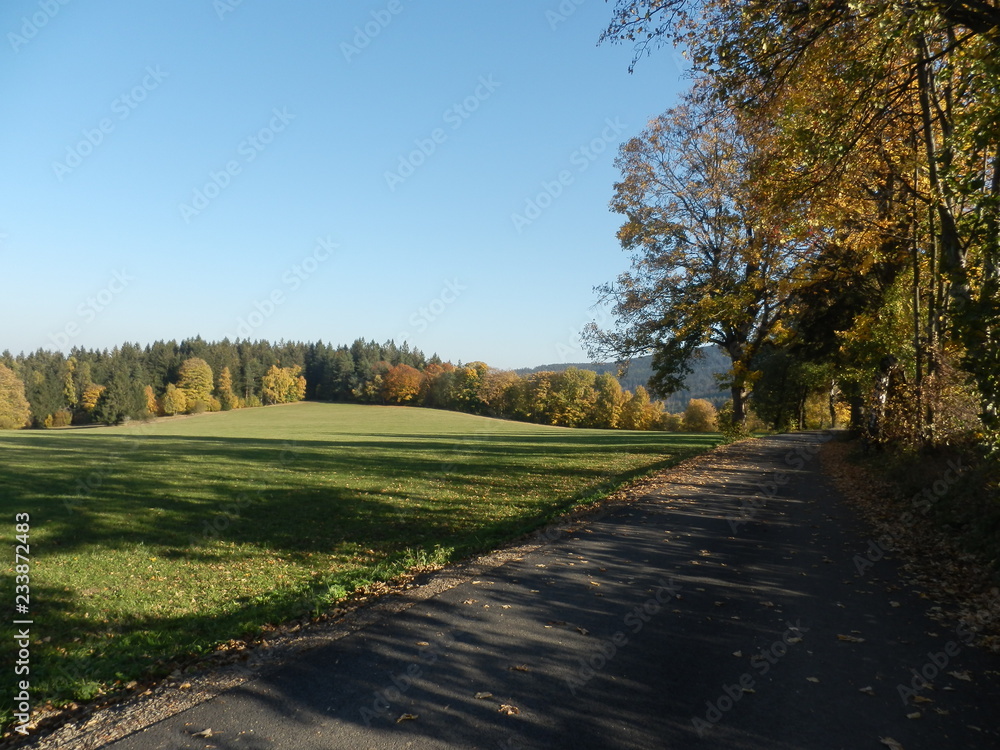 Beautiful natural landscape in the summer time