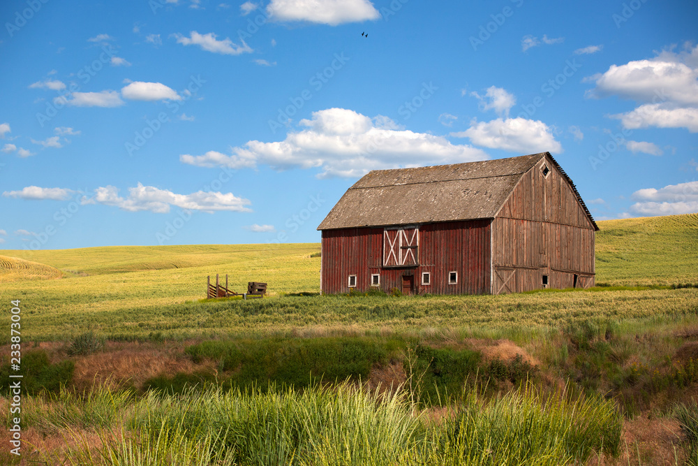 old barn in field