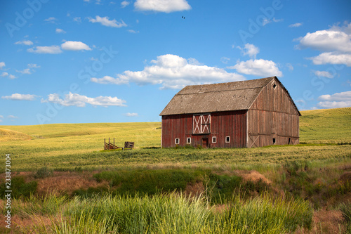 old barn in field