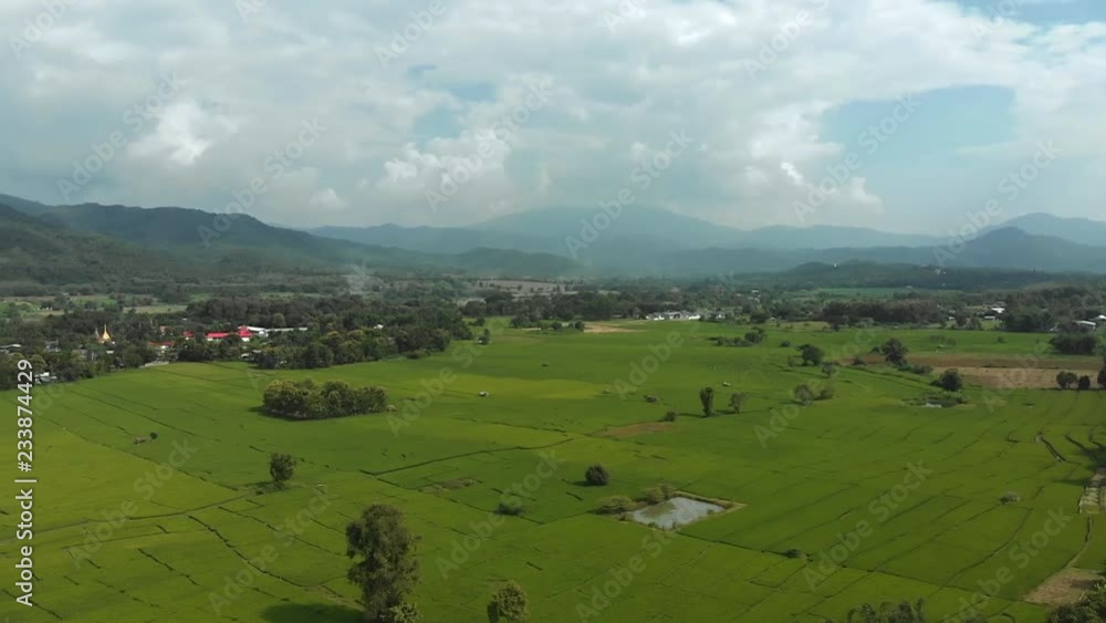 Aerial flight above lush green ricefields at countryside in mountain valley Aerial flight above lush green ricefields at countryside in mountain valley