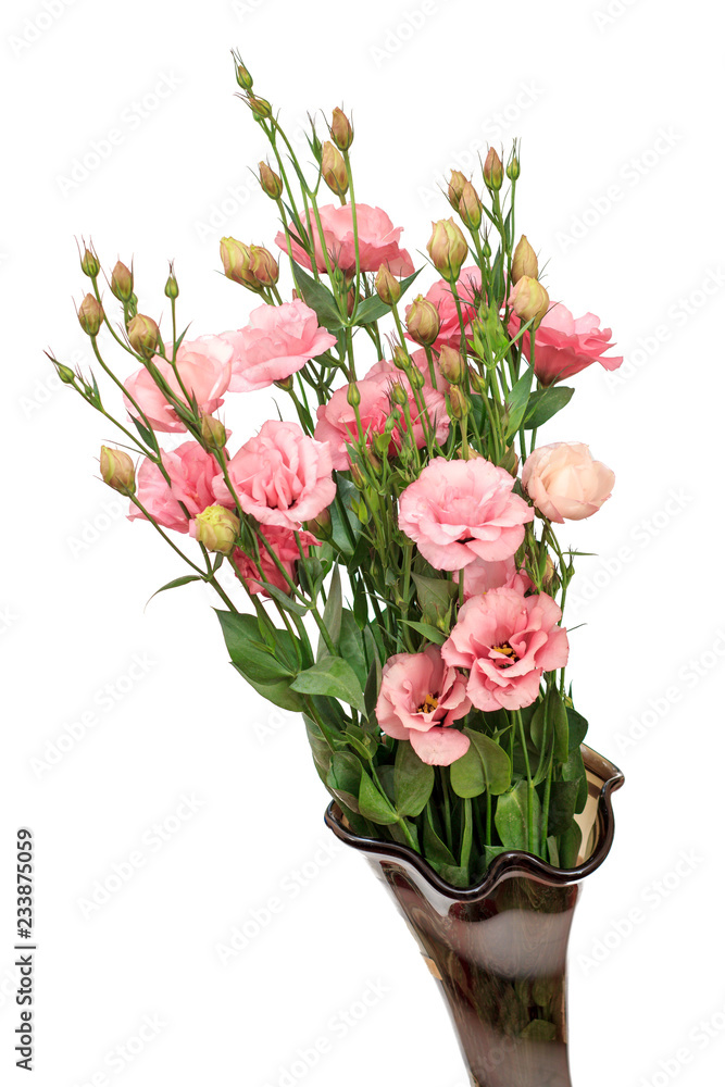 Beautiful bouquet of pink flowers in vase