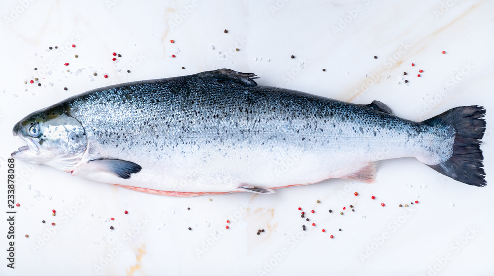 Obraz premium whole fresh raw big salmon fish with seasoning, salt, pepper on white marble table, top view, long banner format