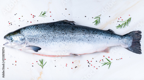 Fotografia whole fresh raw big salmon fish with seasoning, salt, pepper, rosemary on white
