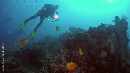 Wallpaper Mural scube diver take pictures liberty wreck tulamben indonesia bali  Torontodigital.ca