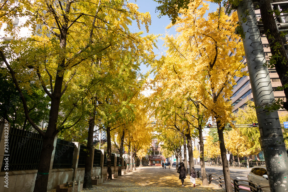 Naklejka premium 秋のソウル 都市風景