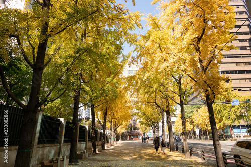 秋のソウル　都市風景