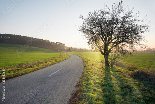 Road in the middle of the field to the village with morning glow