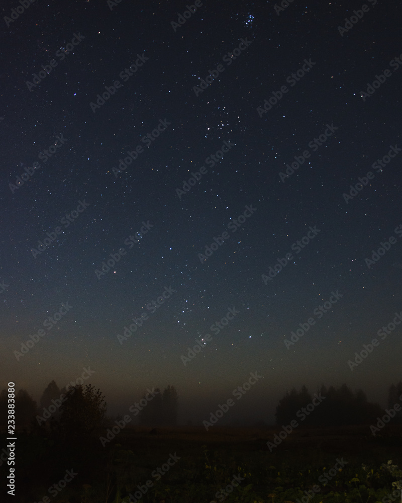 The rising constellation of Orion over the field with the fog of starry night near the forest