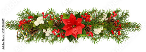 Evergreen twigs of Christma...