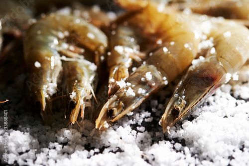 Fresh raw shrimps with salt 