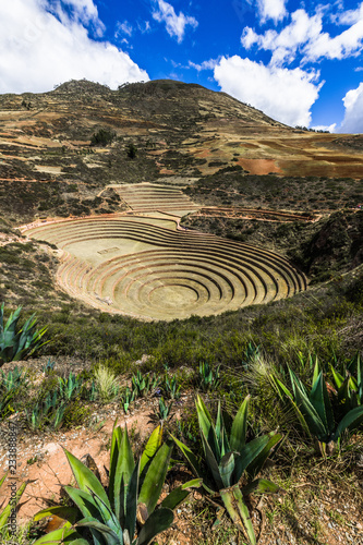Terraces in the valley Moray