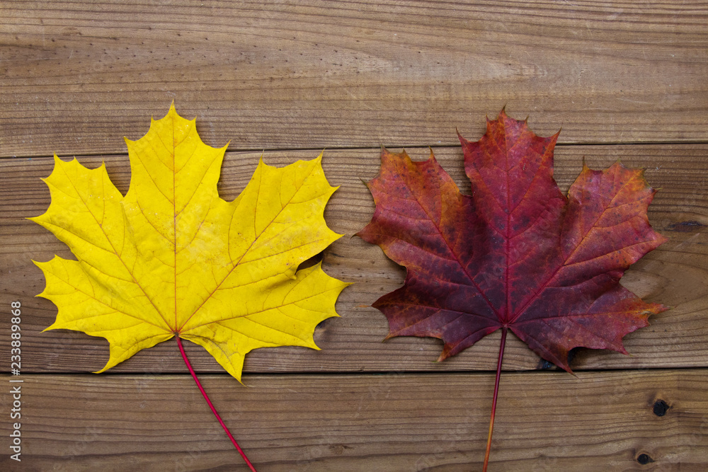 autumn leaves background on rustic wood autumn leaves background on rustic wood