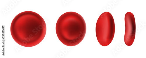 Erythrocyte or red blood cells isolated on white