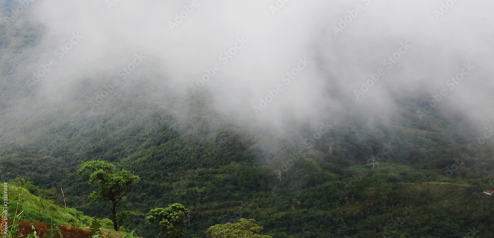 Panoramic beautiful natural scenery of mist over green mountain.