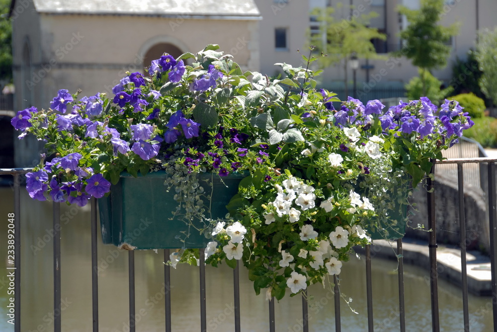 Massif de fleurs mauves et roses, ville de Vendôme, département du Loir-et-Cher, France
