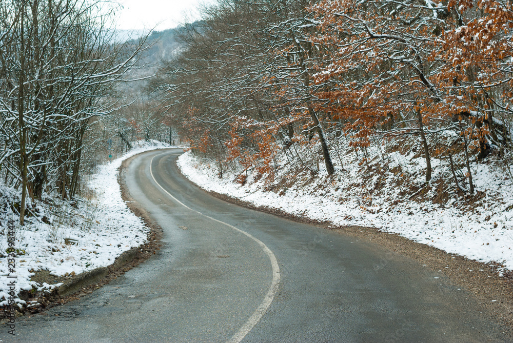 Fototapeta premium Winter road