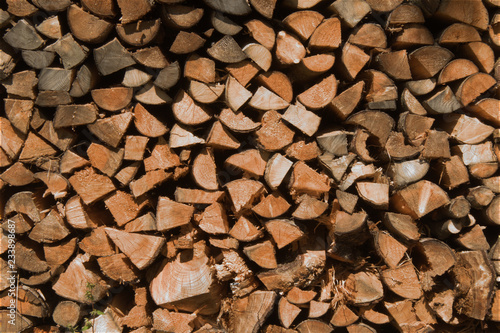 Wood logs pile view, lumber wood industry photo