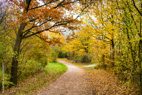 Autumn Park Path © Shawn