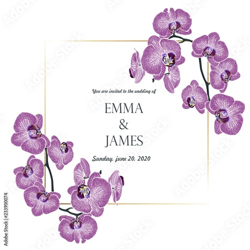 Botanical wedding invitation card template design, violet orchid flowers branch with golden frame on white background, vintage style.