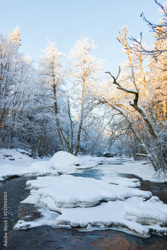 River running through the valley in the winter forest River running through the valley in the winter forest