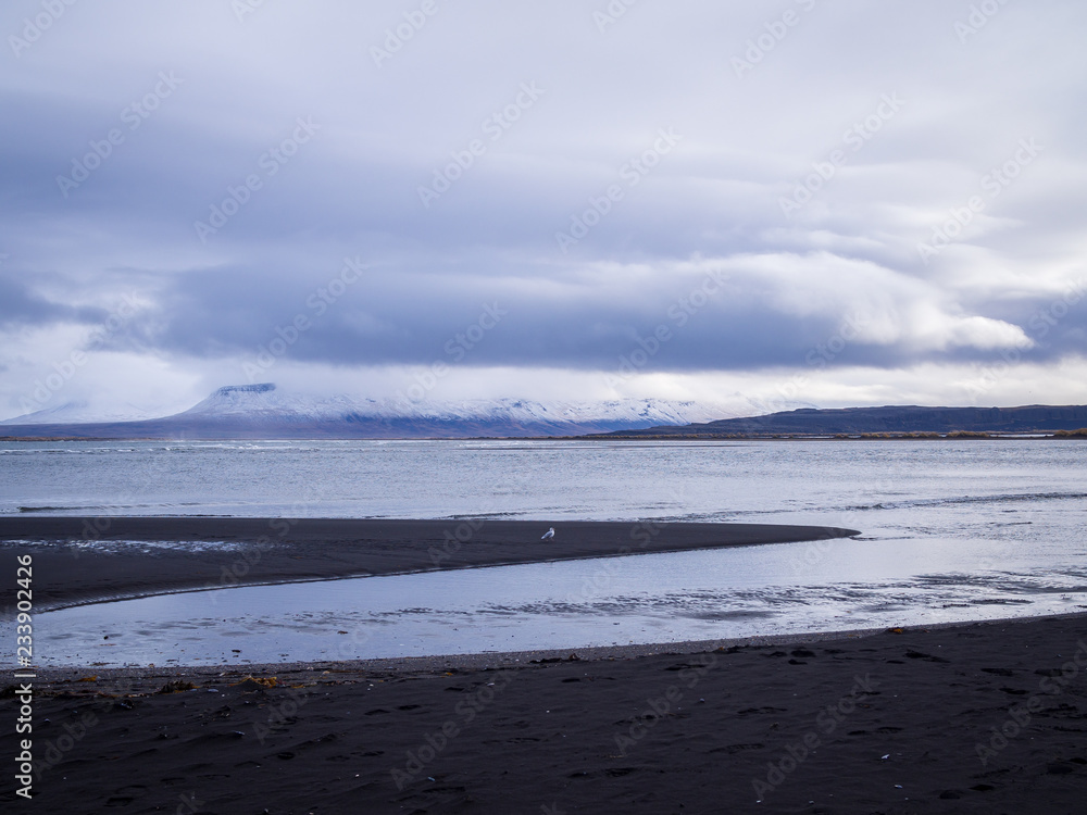 Hvitserkur black sand beach in eastern shore of the Vatnsnes peninsula, in northwest Iceland Hvitserkur black sand beach in eastern shore of the Vatnsnes peninsula, in northwest Iceland