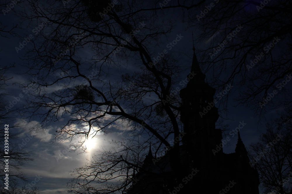 Fototapeta premium .koökopkqwsdjiasifjdsifs