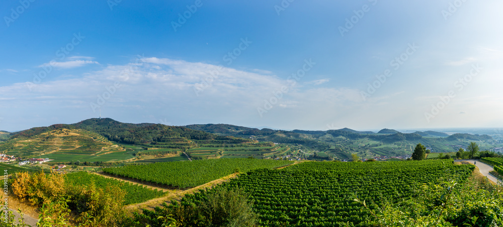 Obraz premium Germany, XXL panorama of Mondhalde landscape in Kaiserstuhl area