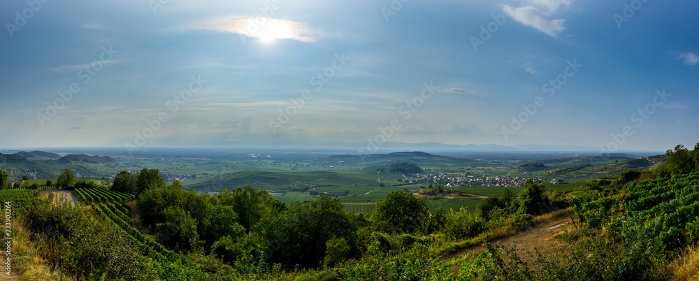 Germany, XXL panorama of vineyard landscape in Kaiserstuhl region
