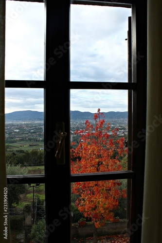Italy  Tuscany  Closed window on the autumn.