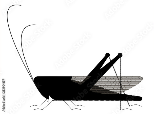 Grasshopper silhouette