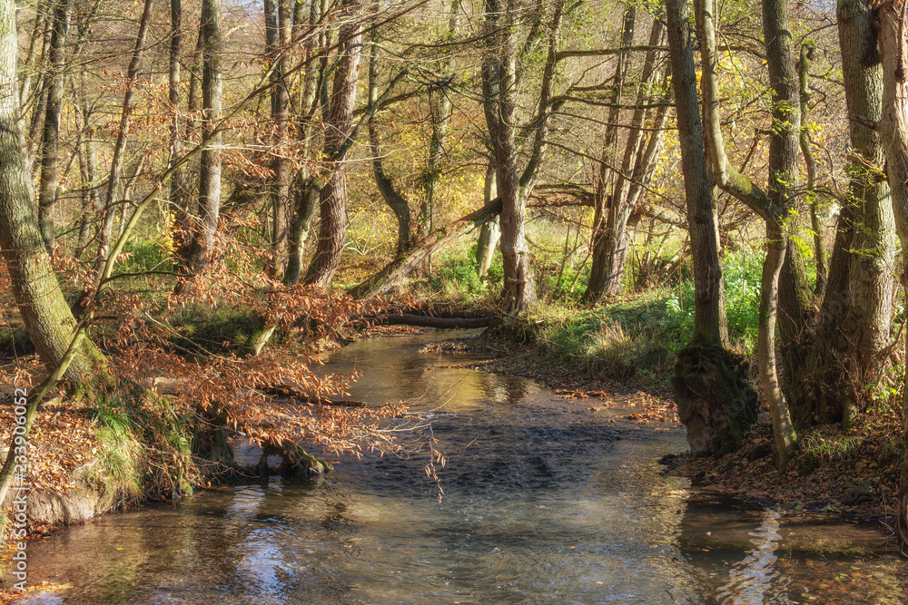 der Fluss Düssel im bekannten Neandertal bei Mettmann nahe Erkrath,Nordrhein-Westfalen,Deutschland