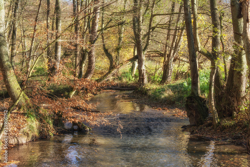 Fotografie der Fluss Düssel im bekannten Neandertal bei Mettmann nahe Erkrath,Nordrhein-Wes