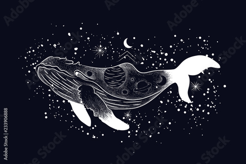Vector illustration set of moon phases. Different stages of moonlight activity in vintage engraving style