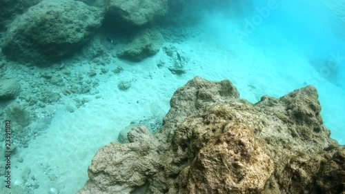 Camera glides over massive coral reef to reveael a line of fish swimming 4K photo