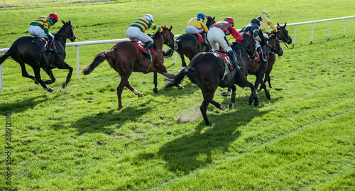 Fototapeta Naklejka Na Ścianę i Meble -  Group of race horses and jockeys racing on the final furlong towards the finish line