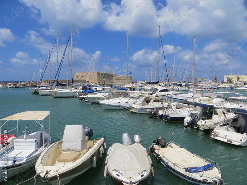 yachts in the harbor