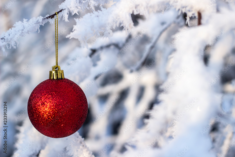 christmas ball on the background of snow christmas ball on the background of snow